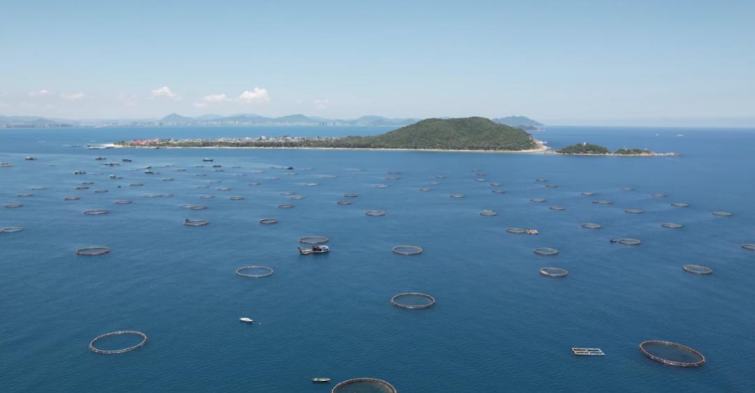 1706931508715650.jpg 1706931508715650.jpg